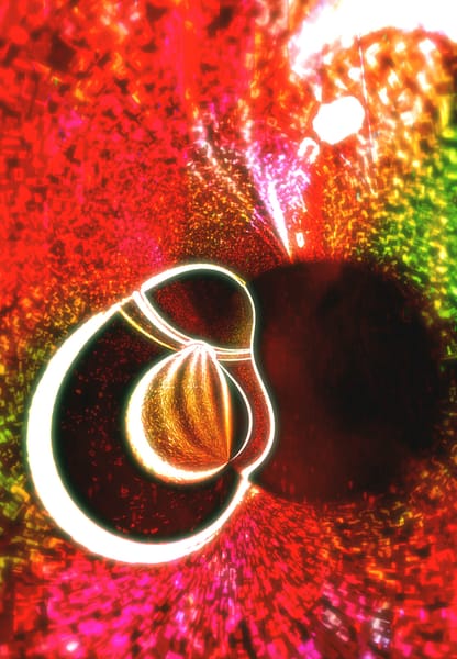 Warp Experiement Project (23)
